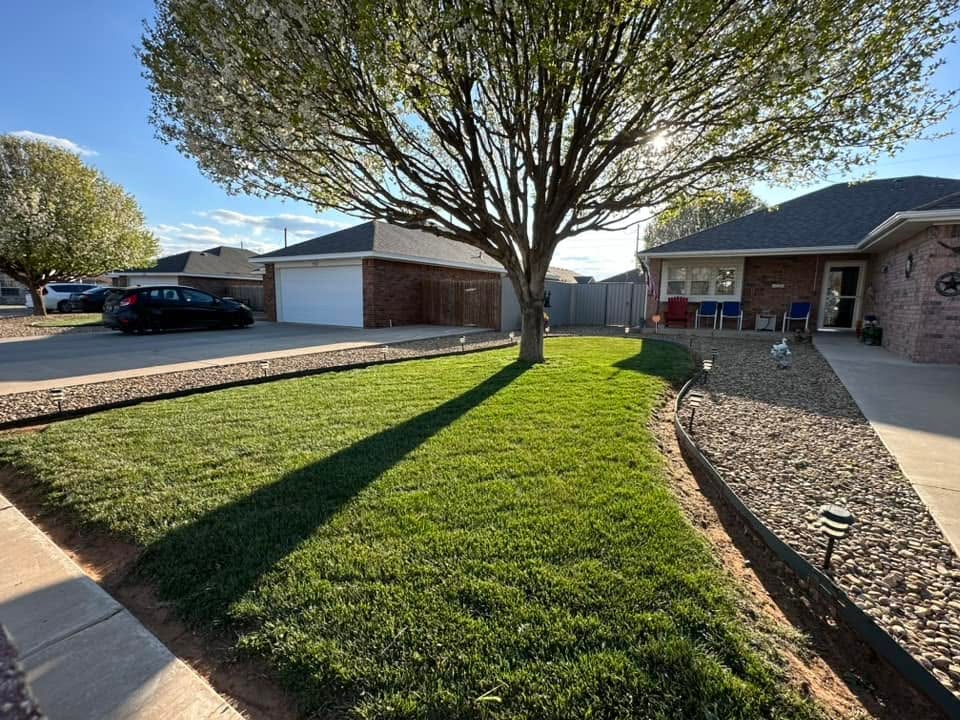 Freshly mowed front lawn with crisp mower lines under a shade tree